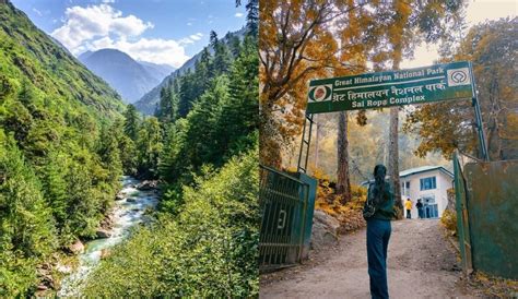 femboy bffs get stacked and rammed|The official website of Great Himalayan National Park .